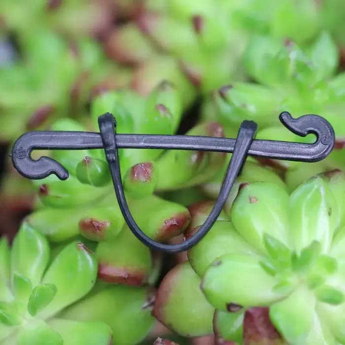 Cages et supports multi-usages pour plantes de jardin, vignes, 200 à 800 pièces, Clips de jardin, bo