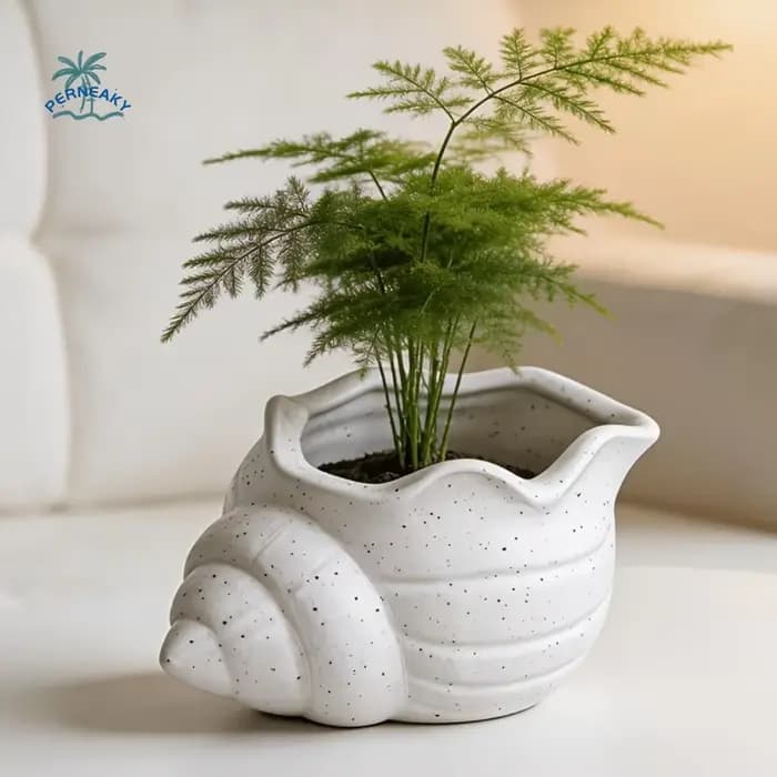 Pot de fleurs créatif en forme de conque imprimé en 3D
