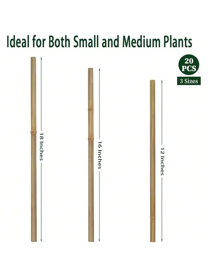 Piquets en bois de jardin en bambou, 20 pièces, plantes en bambou écologiques, piquets en bois, plan