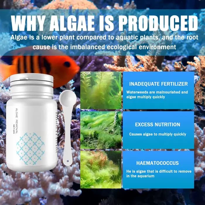 Nettoyage d'aquarium comprimés d'algues réservoir mousse dissolvant d'odeur eau purifier l'aquarium contrôle des algues
