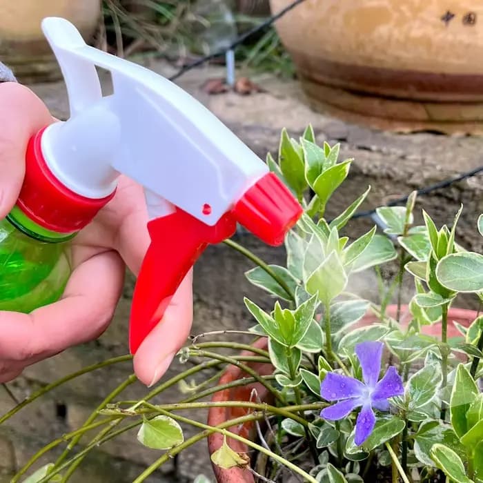 Tête de pulvérisateur à gâchette manuelle, 1/20 pièces, buse universelle pour bouteille d'eau, acces