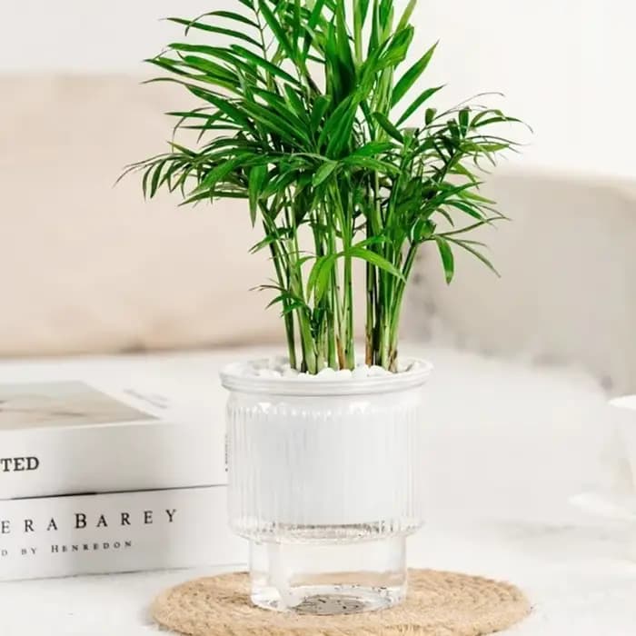 Pot de plantes hydroponiques auto-arrosant de luxe léger