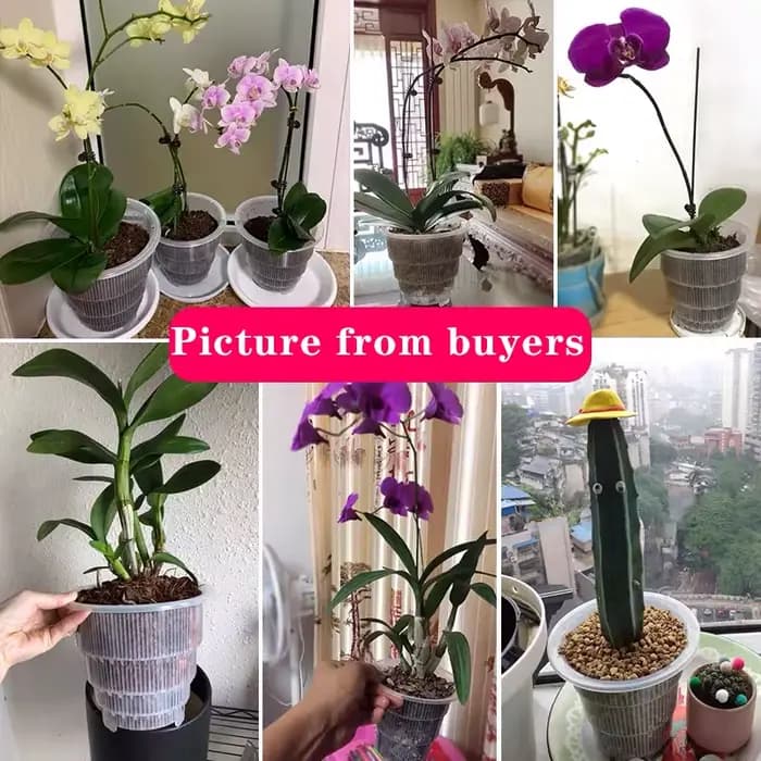 Pot en maille pour décoration de la maison, Pots d'orchidées transparents avec trous, Pot de plantes