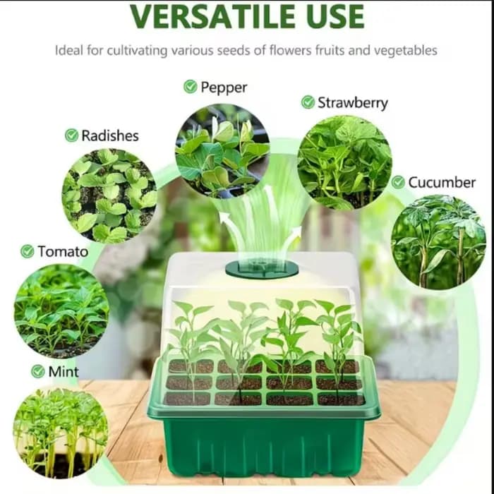Plateau de semis à 6 compartiments, mini-serre, base de germination pour plantes, boîte de culture, kit de démarrage pour plantes, boîte de culture de graines
