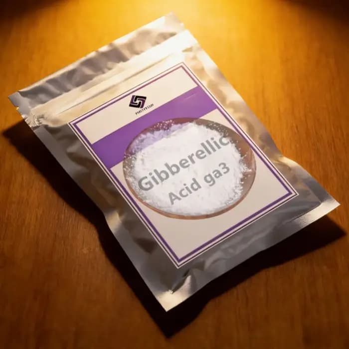 Acide gibbérellique GA3/gibberelline/GA3/acide gibbérellique, régulateur de croissance des plantes à