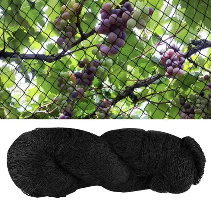Filet à mailles HDPE noir pour vergers, filet anti-oiseaux, clôture d'élevage d'étang, aucun raisin,