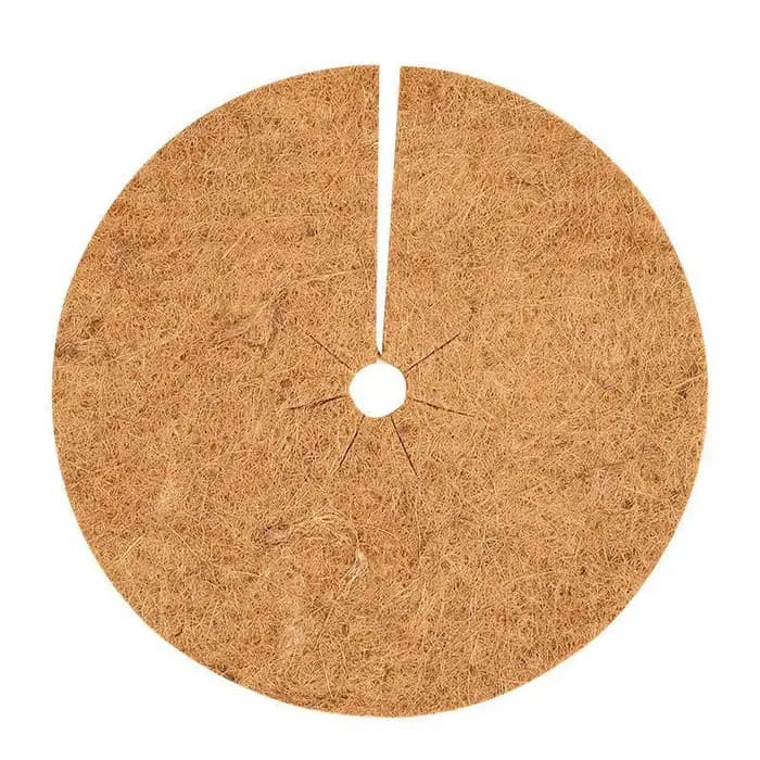 Lot de 3 disques de paillis protecteurs en fibres de coco naturelles pour plantes d'intérieur et d'e