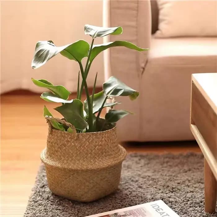 Panier à plantes avec poignées, panier en osier, Pot de rangement, Pot de fleur suspendu en rotin, décoration de maison pour le linge