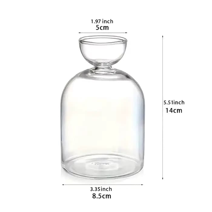 Vase hydroponique transparent en verre pour semis d'avocat, conteneur de culture pour les amateurs d