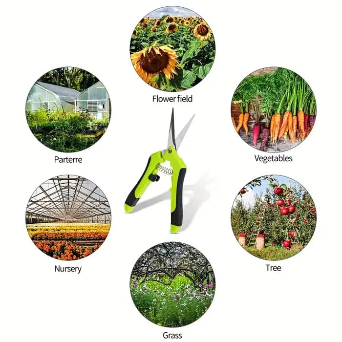 Sécatrices en acier inoxydable pour arbres fruitiers