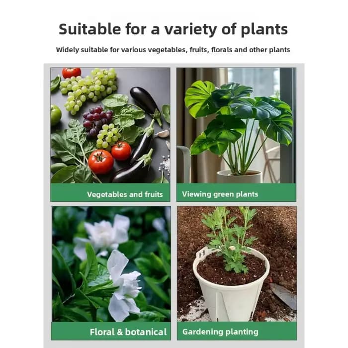 Régulateur d'acide de sol spécifique aux fleurs d'acide citrique