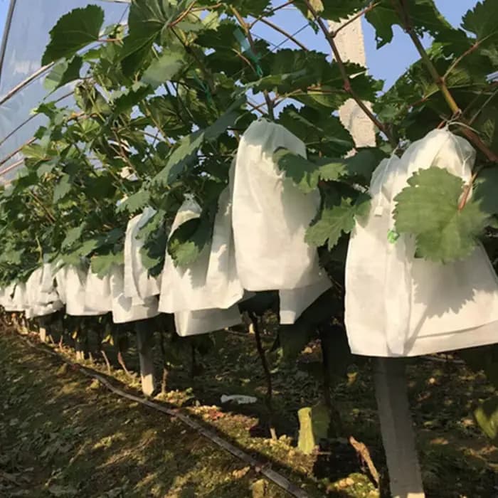 Sacs de protection pour fruits avec cordon de serrage, filet respirant en maille, protection contre