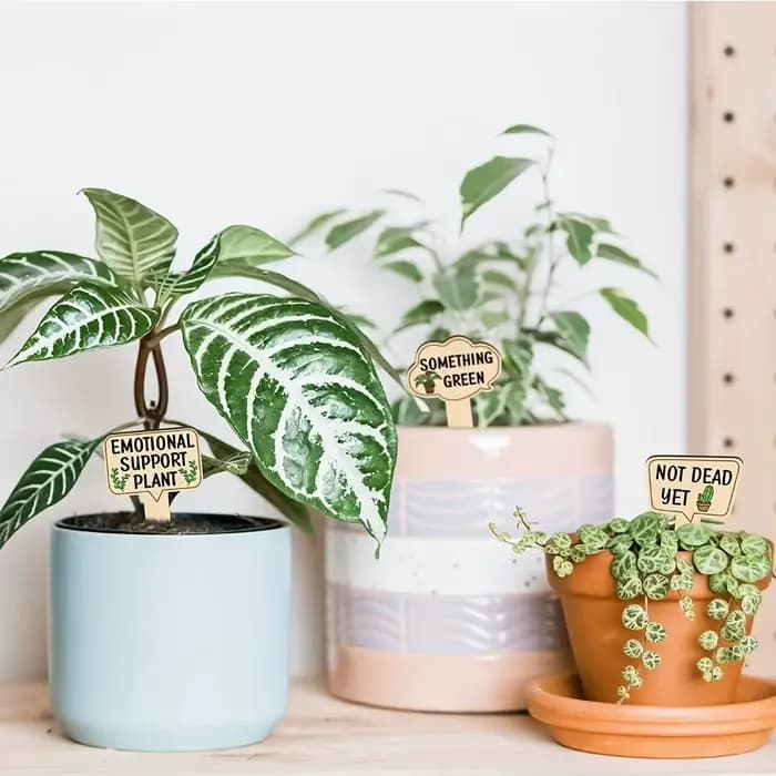 Lot de 15 étiquettes de plantes en bois populaires pour plantes en pot