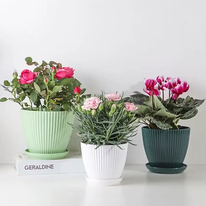 Pot de fleur rond jardinières succulentes Pot de plante avec plateau bureau balcon maison jardin déc