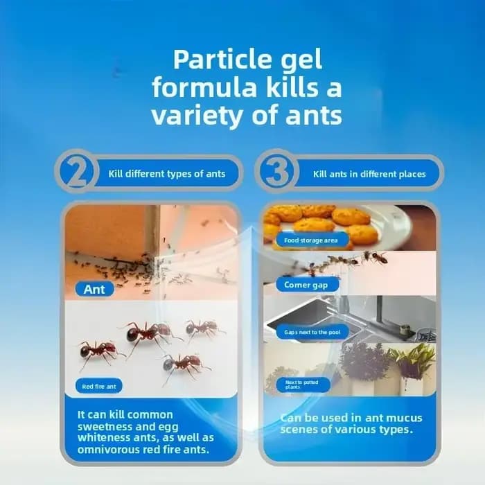 Gel anti-fourmis capable d'éliminer rapidement les fourmis