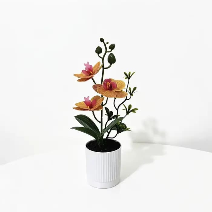 Pot en terre cuite noir avec trois orchidées papillon tactiles