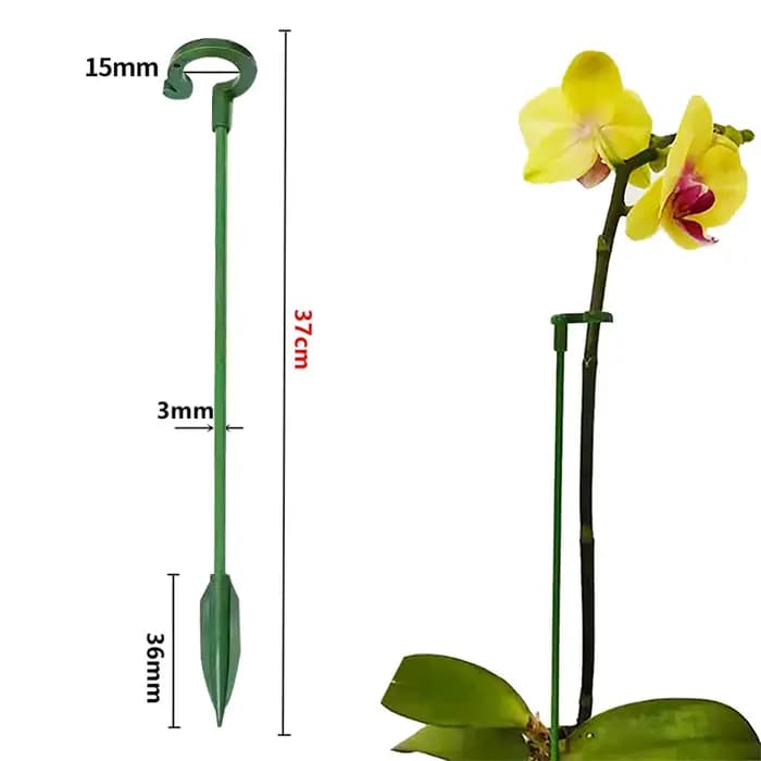 Supports de plantes en plastique