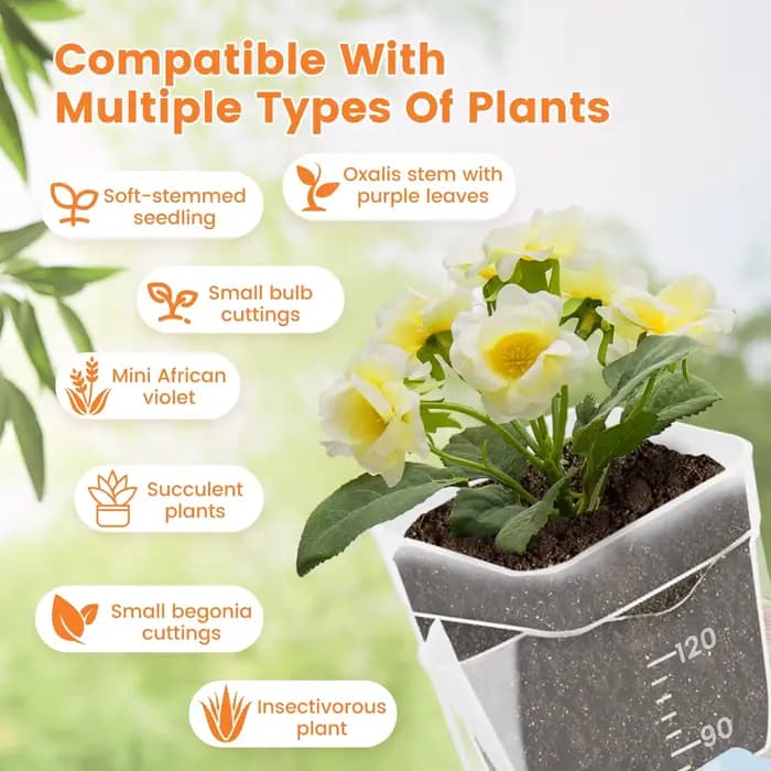 Lot de 12 pots auto-arrosants transparents en plastique double couche avec trous de drainage et corde en coton pour petites plantes de pépinière
