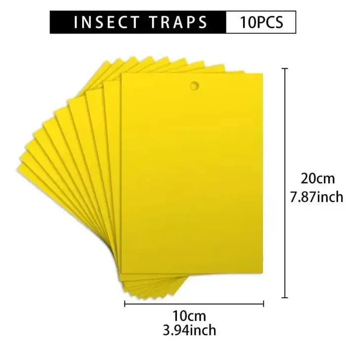 Pièges à insectes pour mouches et slime des fruits