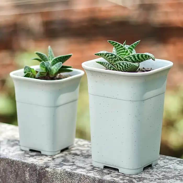 Pot de fleurs pour plantes carrées approfondies, pot de contrôle des racines, jardinière Lauren, hau
