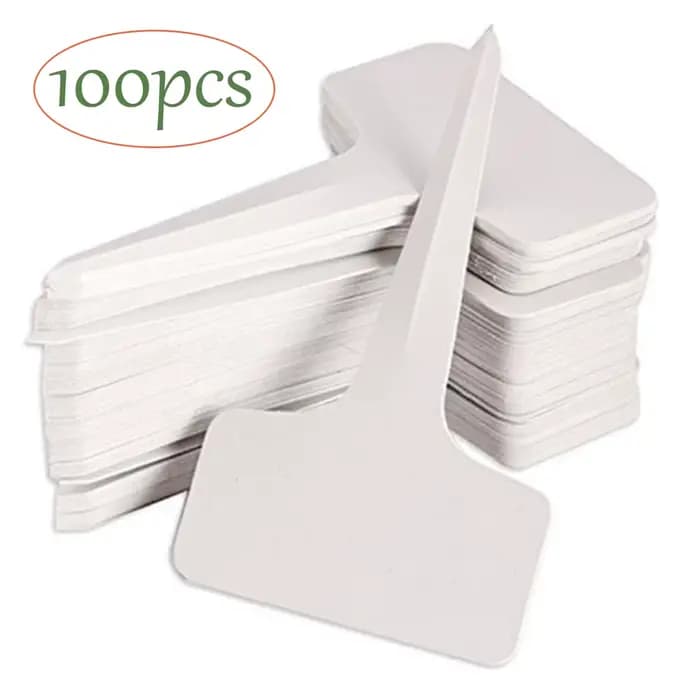 Étiquettes de type T en plastique PVC blanc pour plantes, marqueurs pour pépinière, jardin, plateau