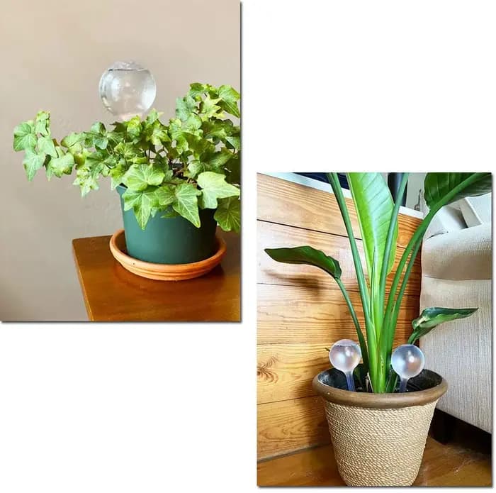 Distributeur automatique d'eau pour plantes, boule en plastique, bidons de fleurs d'intérieur et d'e