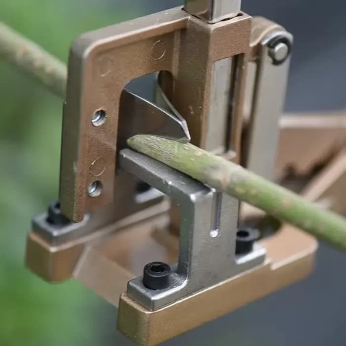 Grand outil de greffage, coupe-branches professionnel de jardin, sécateur de plantes d'élagage, ensemble de ciseaux de greffage de Branches épaisses