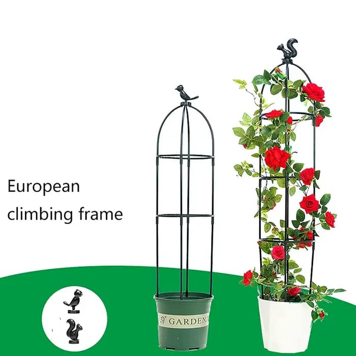 Support de jardin en treillis pour plantes grimpantes, cages pour plantes à fleurs, cadre de support