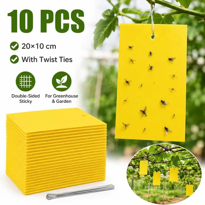 Piège à mouches fruitières double face haute efficacité, adhésif puissant, attrape-insectes pour le