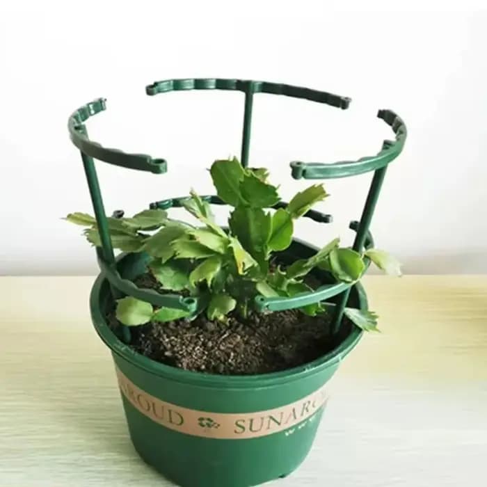 Anneau de Support pour plantes en plastique, Support de jardin pour verger, Support de Pile pour arr