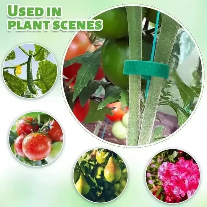 Attache de câble en Nylon pour plantes auto-adhésives, vert, réglable, Support de boucle à crochet,