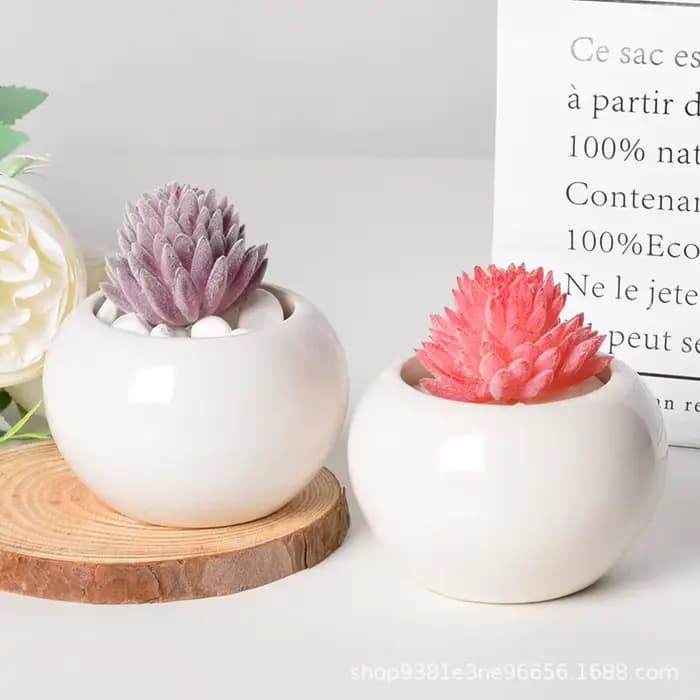Petit pot rond en céramique pour plantes succulentes