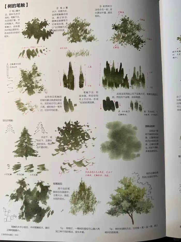 2025 nouveau livre de tutoriel aquarelle pour débutants paysage fleur jardin paysage dessin compétences livres, grande taille: 37*26 cm