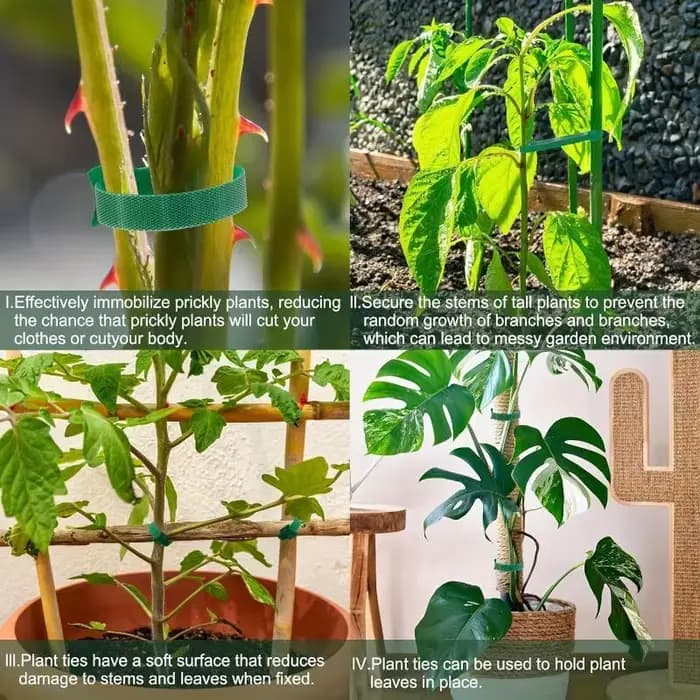 Attaches pour plantes en nylon antidérapantes réutilisables, avec attaches auto-agrippantes, réglabl