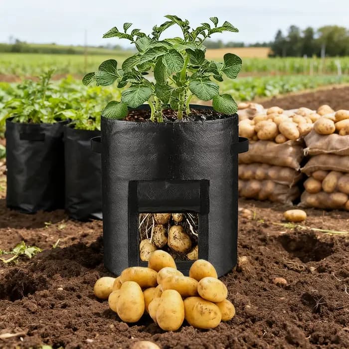 Sac de culture de pommes de terre avec fenêtre de visualisation