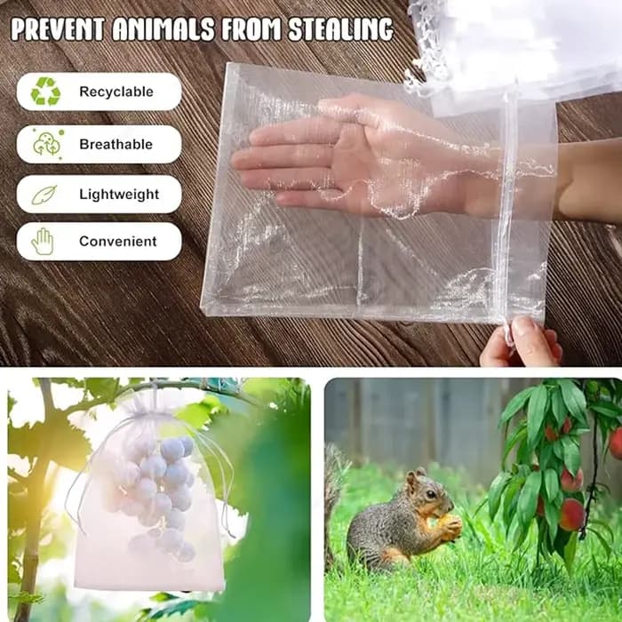 Sacs de Protection pour raisins et fruits, 50 à 500 pièces, sacs de culture d'arbre, filet en maille