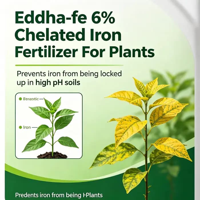 Fe 6% Engrais chélaté à base de fer pour plantes
