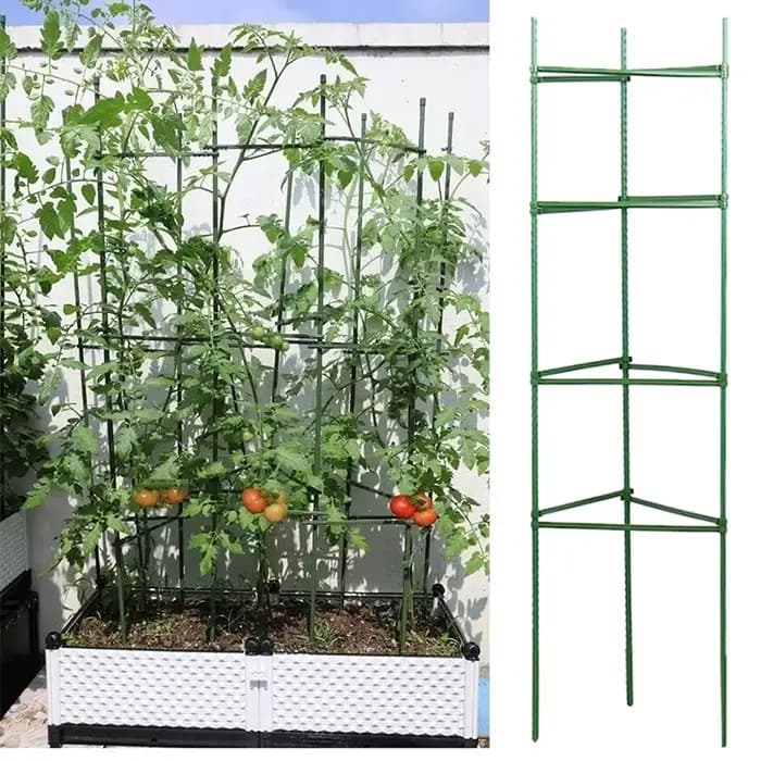 Piquets de support pour plantes de jardin, vigne grimpante T1, bras, connecteurs de cadre en pot ext