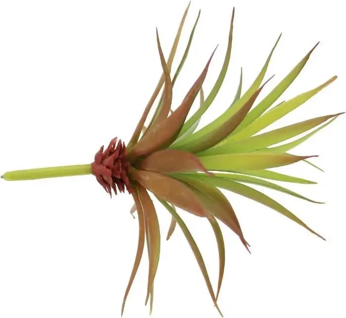 2 Pièces de Plantes Artificielles Succulentes Yucca Vera