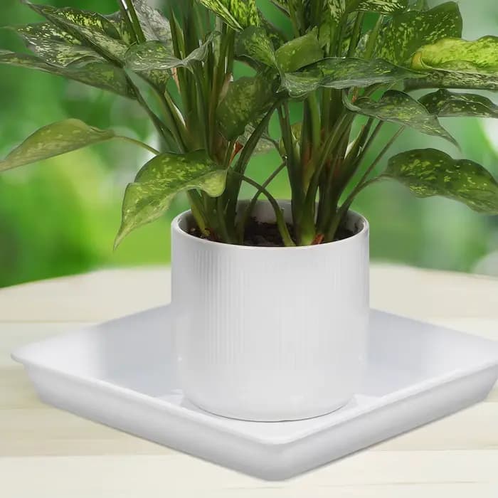 2 pièces de soucoupes pour plantes en plastique épaissi