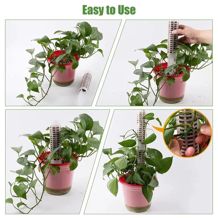 Colonne grimpante pour plantes, poteau en mousse sphagne, Support de croissance pour plantes, retenu