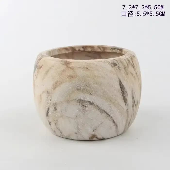 Pots de fleurs succulentes à transfert d'eau en céramique