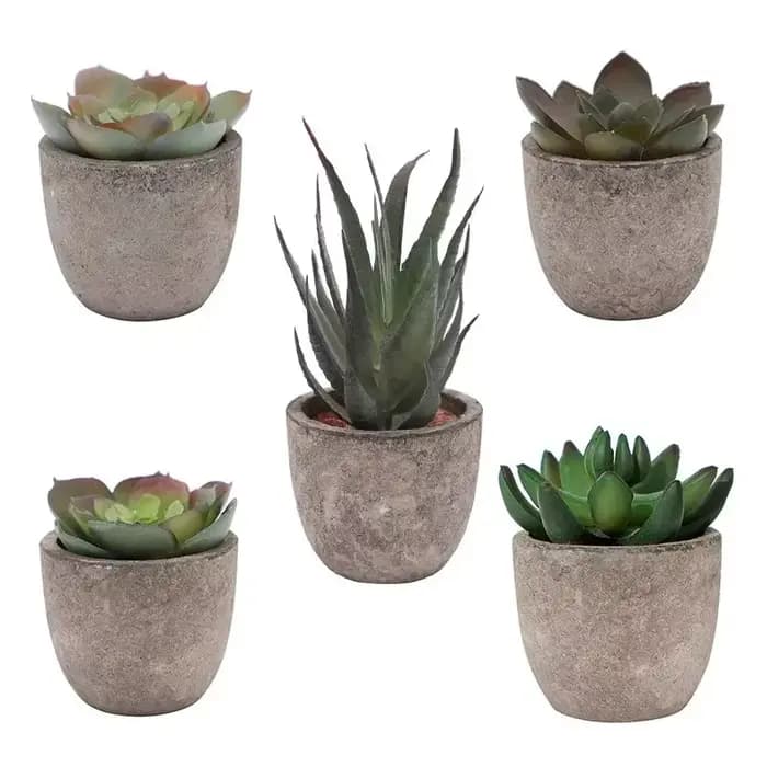 Mini plantes artificielles à l'aloe vera, bonsaï, petit arbre simulé, fausses fleurs, ornements de Table de bureau, décoration de jardin de maison