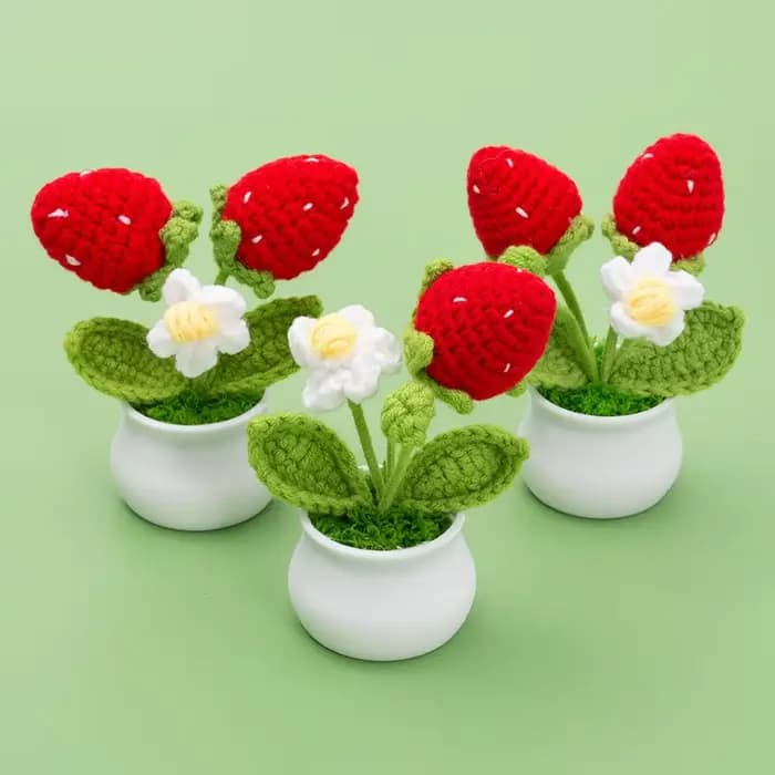 Crochet fraise en Pot créatif tricot Pot de fleur fleurs