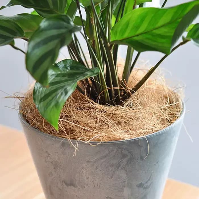 Couverture de pot de fleurs en Fiber de noix de coco naturelle