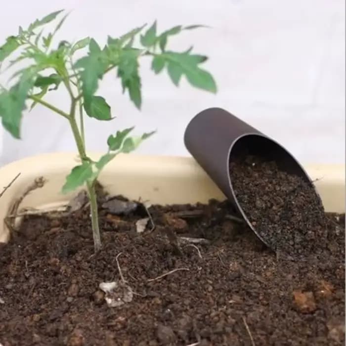 Seau en plastique pelle en pot cylindre de culture Mini plante charnue sol pelle et pelle jardinage