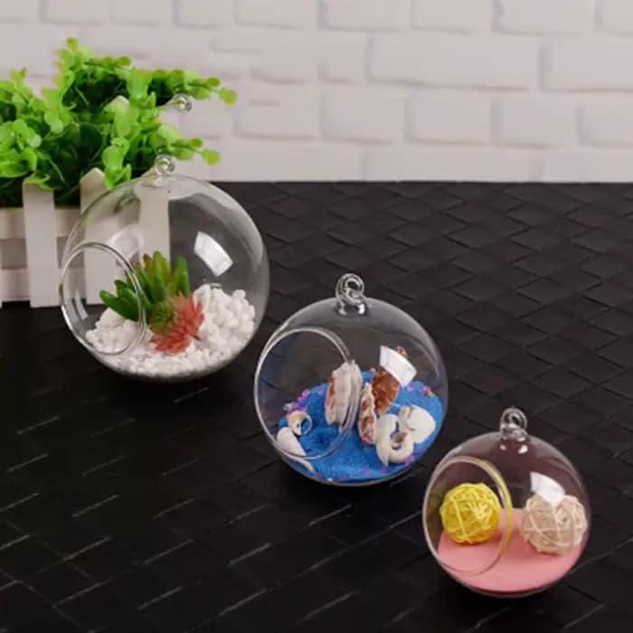 Boule de Terrarium en Verre Transparent en Forme de Globe, Conteneur de Fleurs, Ornement de Paysage,