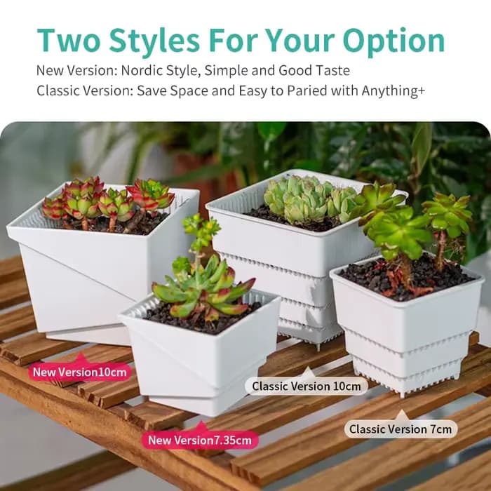 Pot de fleurs succulentes en plastique
