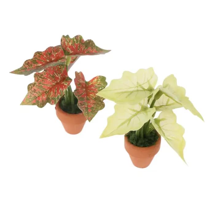 Miniature Plante en Pot Taro Vert 'Turtle Back' pour Maison de Poupées, Modèle de Plante Verte Miniature, Décoration de Jardin et Paysage pour Maison de Poupées, Jouet