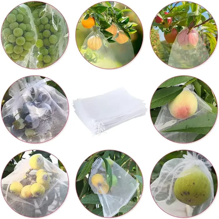 Sacs de Protection des fruits, 100 pièces, filet antiparasitaire, sacs de raisin Anti-oiseau, filet